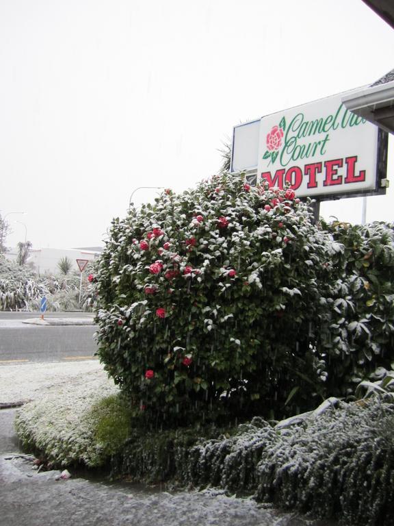 Camellia Court Motel Lower Hutt Εξωτερικό φωτογραφία