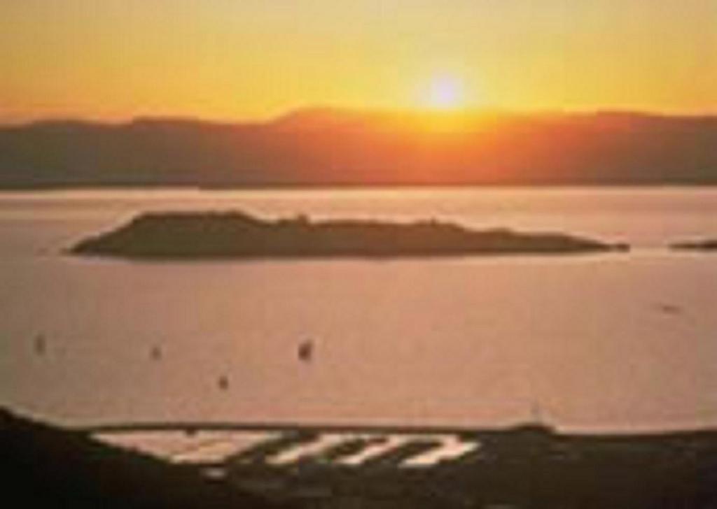 Camellia Court Motel Lower Hutt Εξωτερικό φωτογραφία